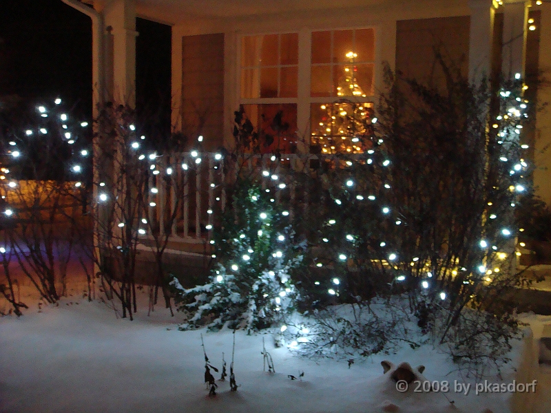 026 A2 Snowfall & Trees [2008 Dec 20].JPG - Our Christmas Trees for 2008.
